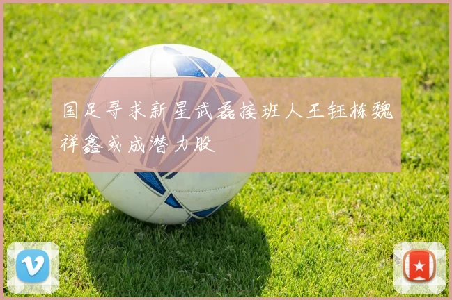 国足寻求新星武磊接班人王钰栋魏祥鑫或成潜力股